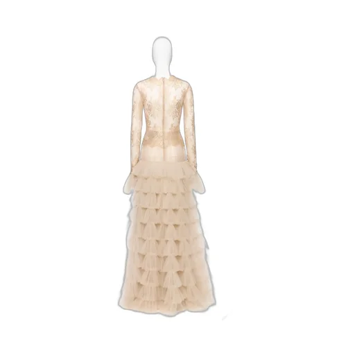 Long-Sleeved Evening Gown