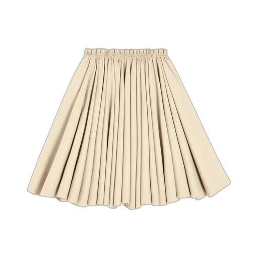 Pleated Skirt