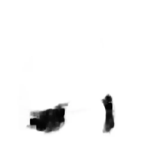 Rick Owens Fringed Scarf
