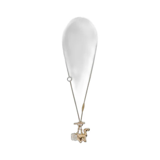 Long Necklace With Pendants