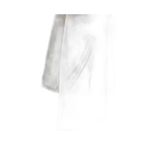 Long-Sleeved Trench Coat