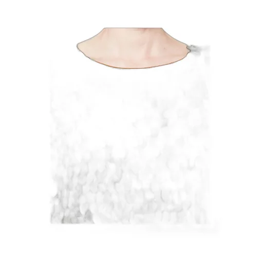 Sequined Embellished Blouse