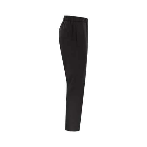 Peserico Elasticated Wool Pants