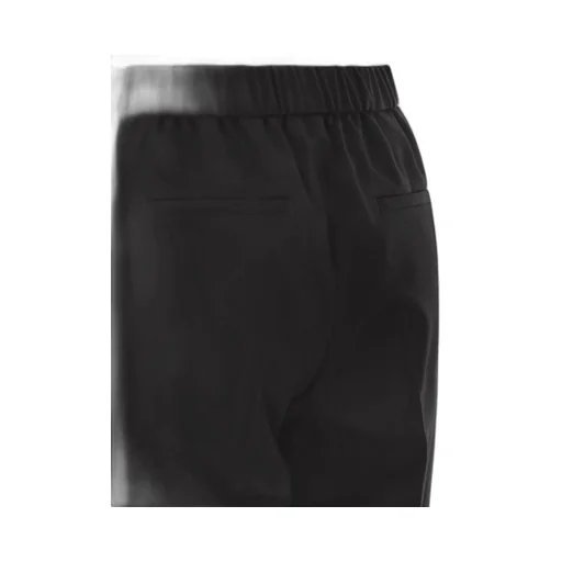 Peserico Elasticated Wool Pants