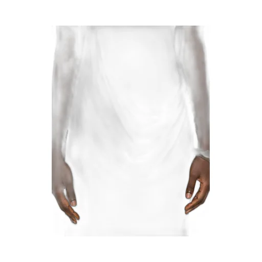 Double-Layered Draped Maxi Skirt