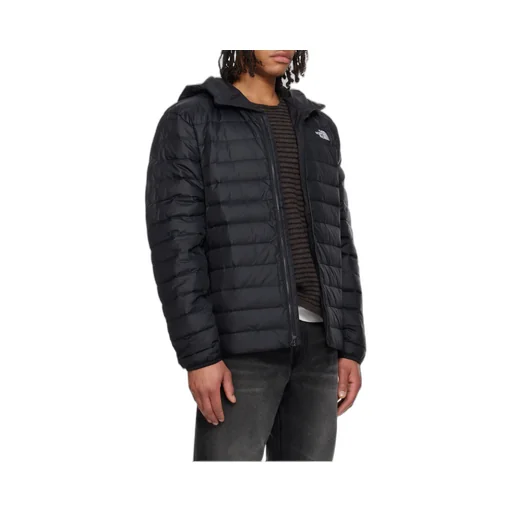 The North Face Classic Down Jacket