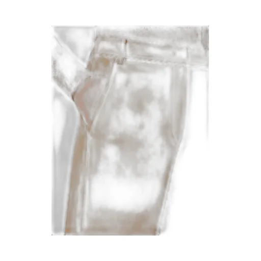 Belt Loop Casual Pants