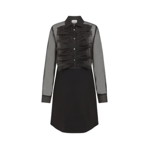 Ruffled Sheer-Paneled Dress