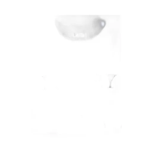 Short-Sleeved T-Shirt