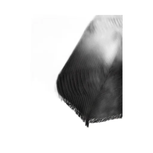 Pleated Cashmere Stole