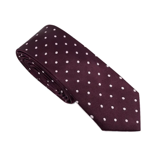 Pointed Tie