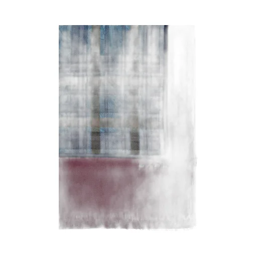 Wool And Silk Scarf With Print
