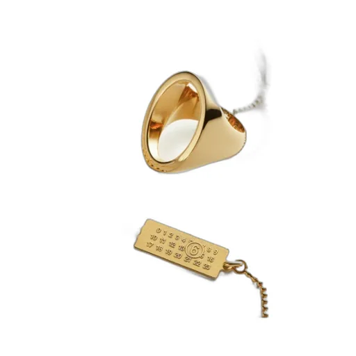 Ring-Charm Necklace