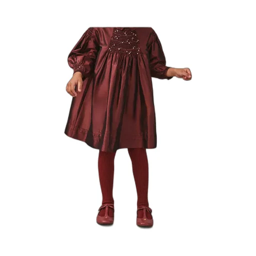 Jeanne Ruffled Embroidered Silk Dress