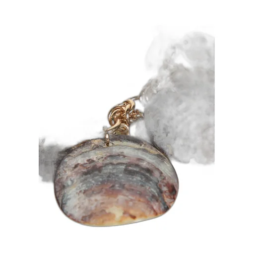 Shell-Discs Necklace