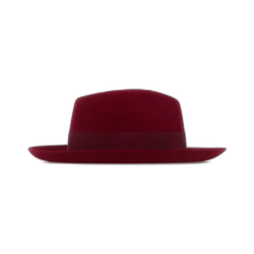 Borsalino Alexander Wide-Brim Hat