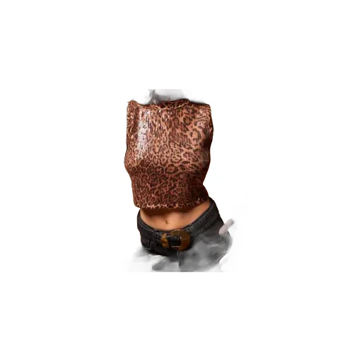 Leopard-Print Sequin-Embellished Top