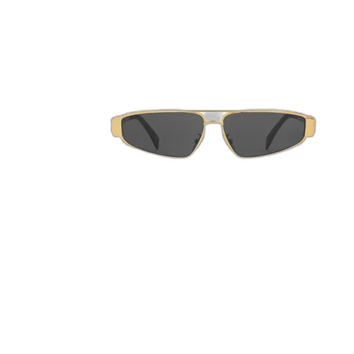 Triomphe Metal 05 Sunglasses In Metal