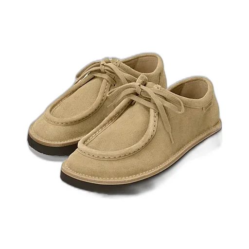 Suede-Leather Shoes
