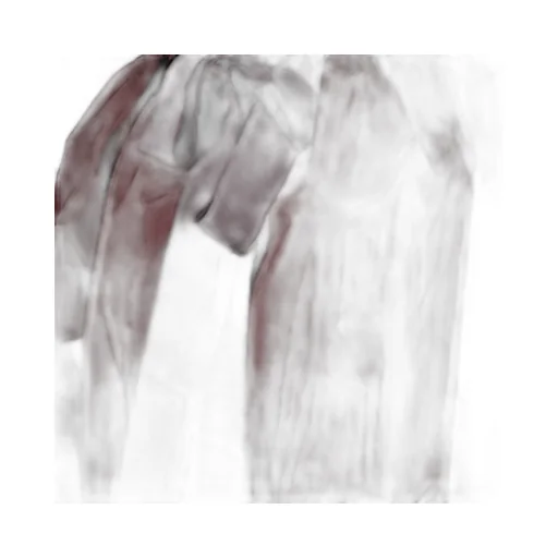 Ruffled Blouse