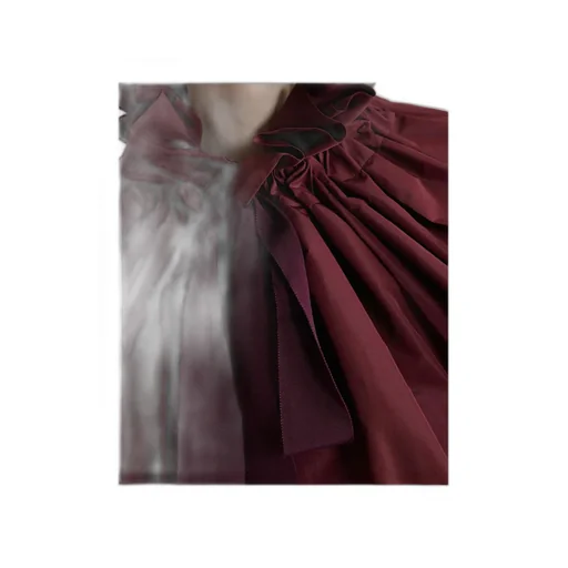 Ruffled Blouse