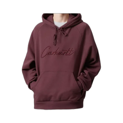 Carhartt Wip Hooded Ray Sweatshirt
