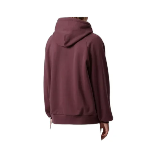 Carhartt Wip Hooded Ray Sweatshirt
