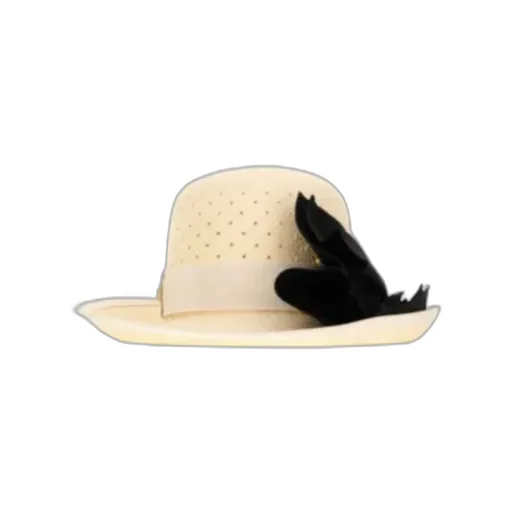 Vlogo Hat