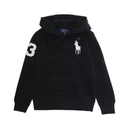 Polo Ralph Lauren Kids Pony Logo Hoodie