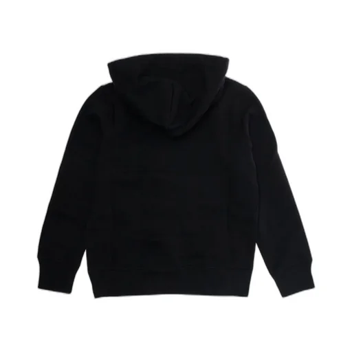 Polo Ralph Lauren Kids Pony Logo Hoodie