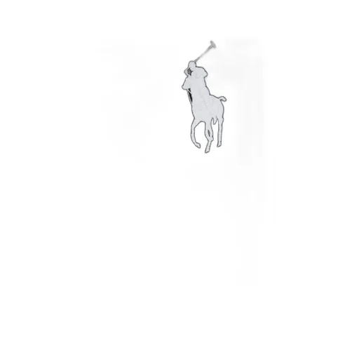 Polo Ralph Lauren Kids Pony Logo Hoodie