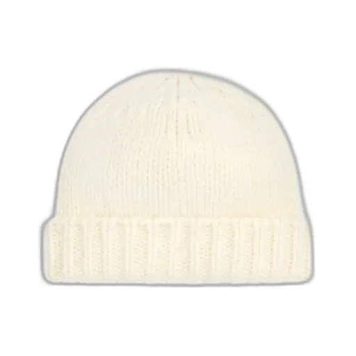 Triomphe Beanie In Cashmere And Silk