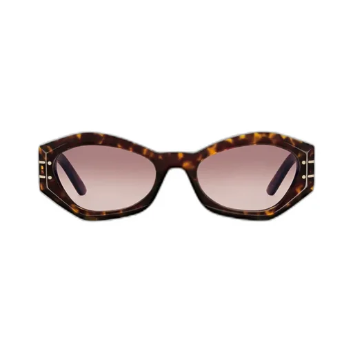 Diorsignature B1U