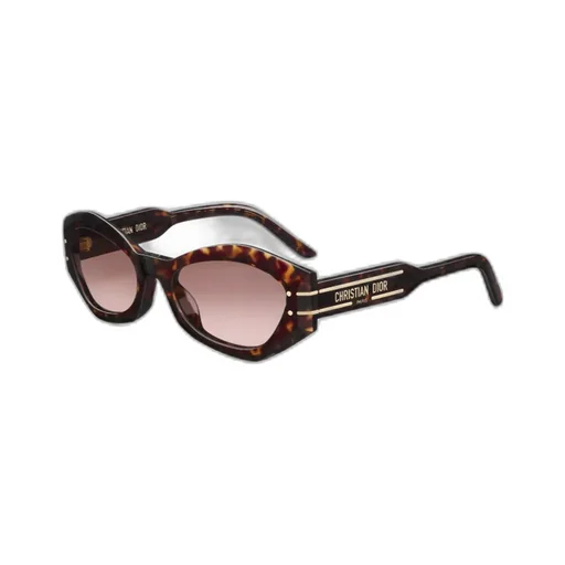 Diorsignature B1U