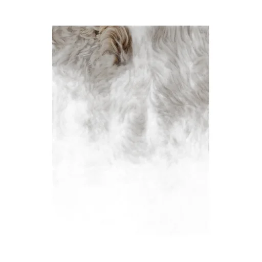 Yves Salomon Hooded Fur Coat