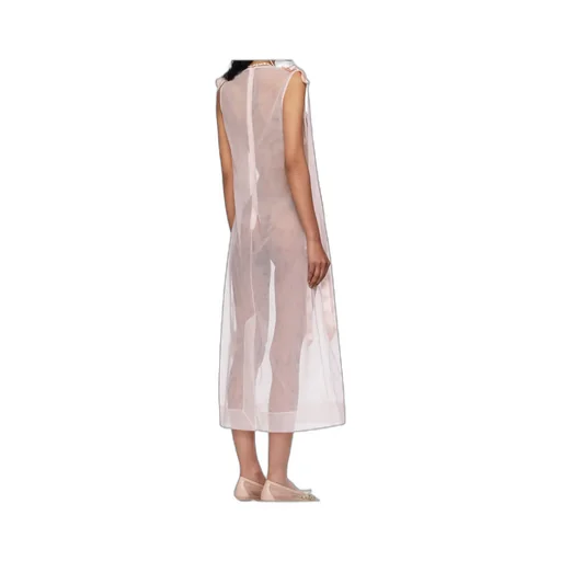 Sheer Bow Ribbon Tail Midi Dress
