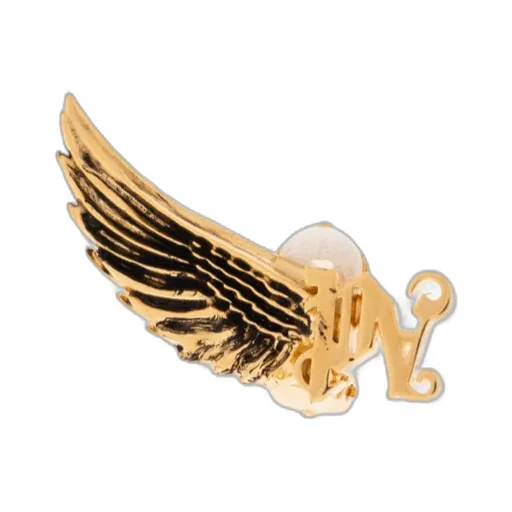Wing Earrings