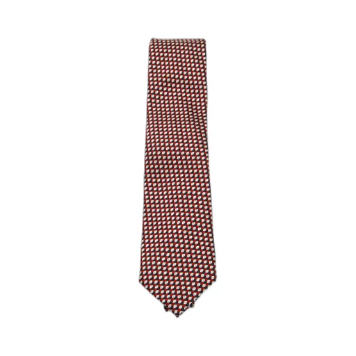Zegna Printed Tie