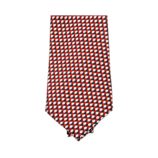 Zegna Printed Tie