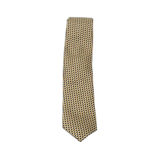 Zegna Printed Tie