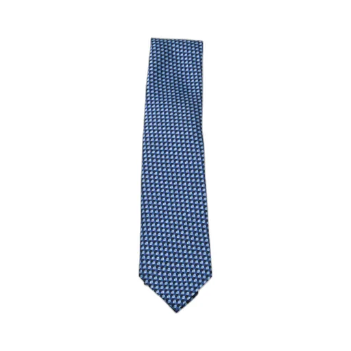 Zegna Printed Tie