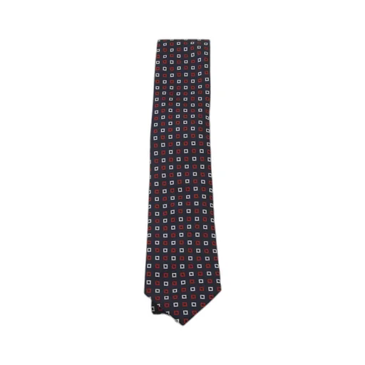 Zegna Printed Tie