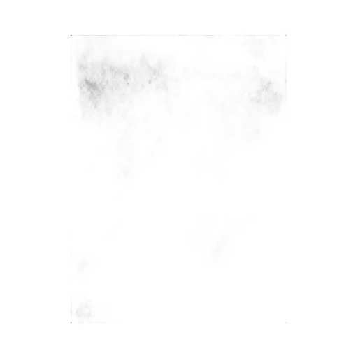 Mesh T-Shirt