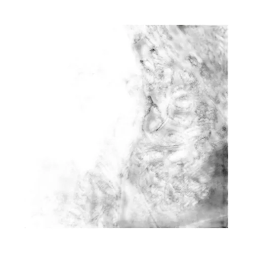 Ermanno Scervino Lace Panel Dress