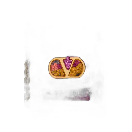 Valentino Garavani Vain Embroidered Shoulder Bag