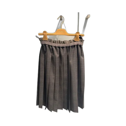 Pleated Mini Skirt