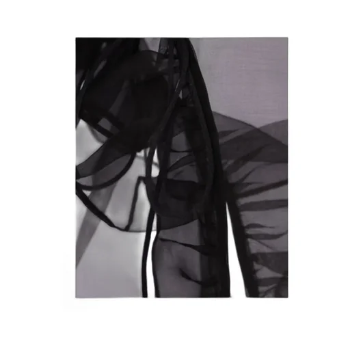 Cecilie Bahnsen Ruffled Organza Top
