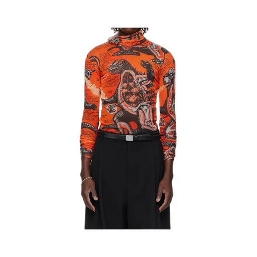 Masked Mesh Turtleneck