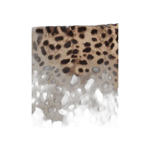 Dolce & Gabbana Leopard Printed Shorts