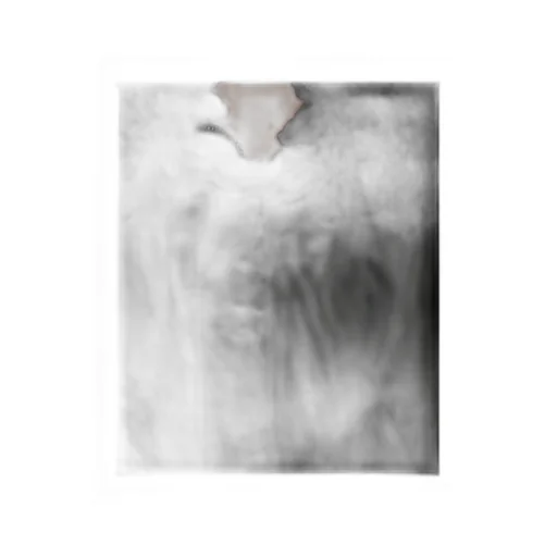 Nylon Knit Collar Short Coat
